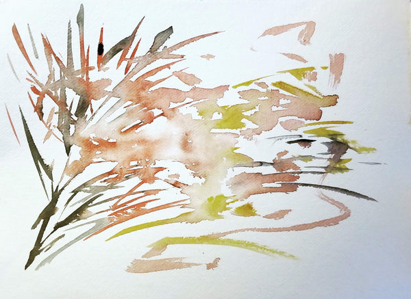 <transcy>Couette Natures</transcy>
