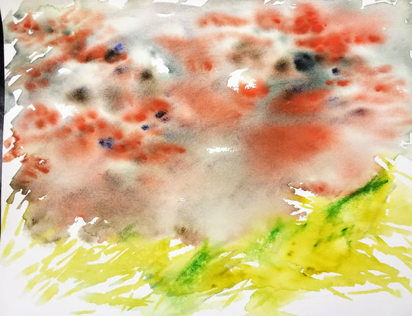 <transcy>Ciel de fraise</transcy>