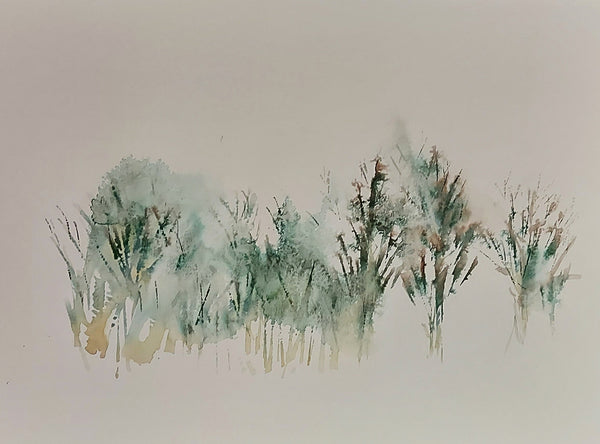 Emerald Forest