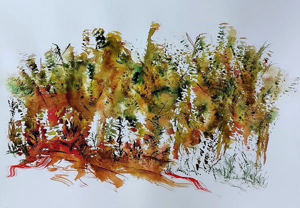 Deep roots